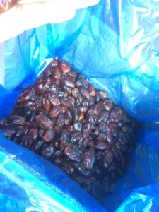 Aseel Pitted Dates Shipment