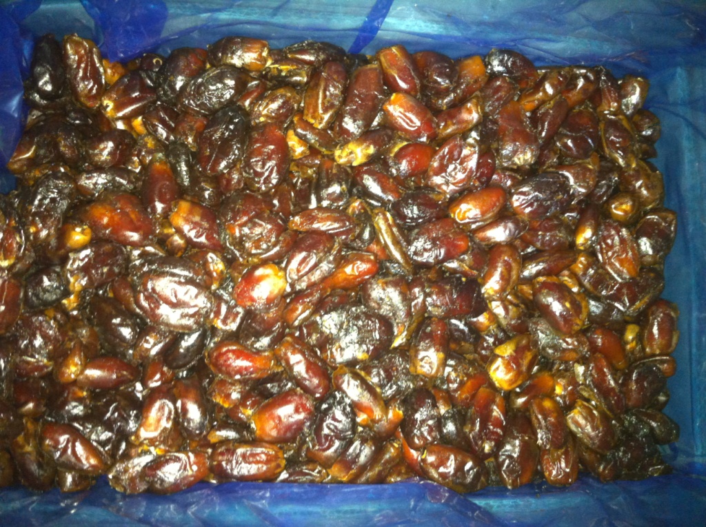 7th Full Container Shipment of Pakistani Aseel Pitted Dates by Dawood Dates